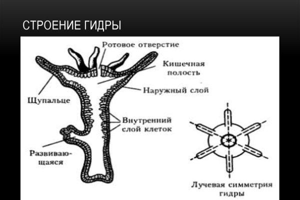 Кракен даркнет рекламы