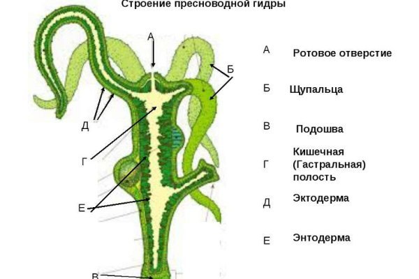 Kraken 15 at сайт