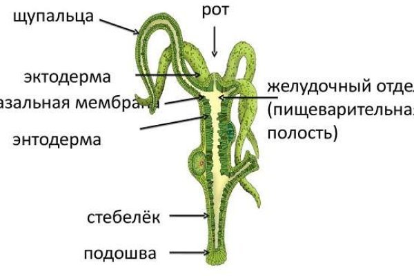 Кракен без тор