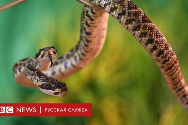 Как зайти на кракен в тор браузере