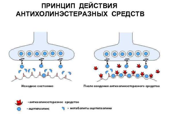 Кракен браузер