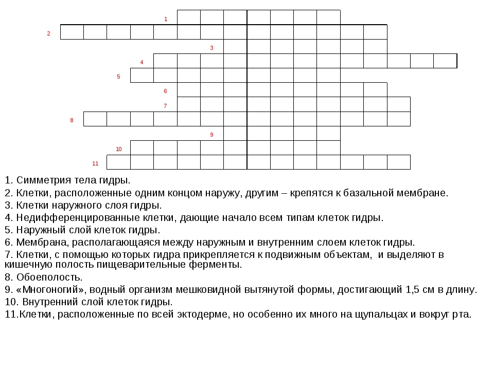 Kraken зеркало даркнет